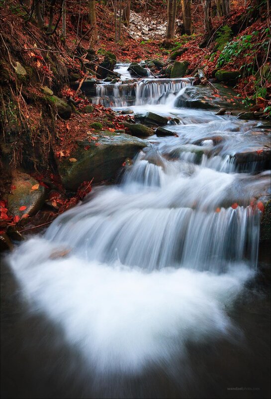 Autumn stream in forest