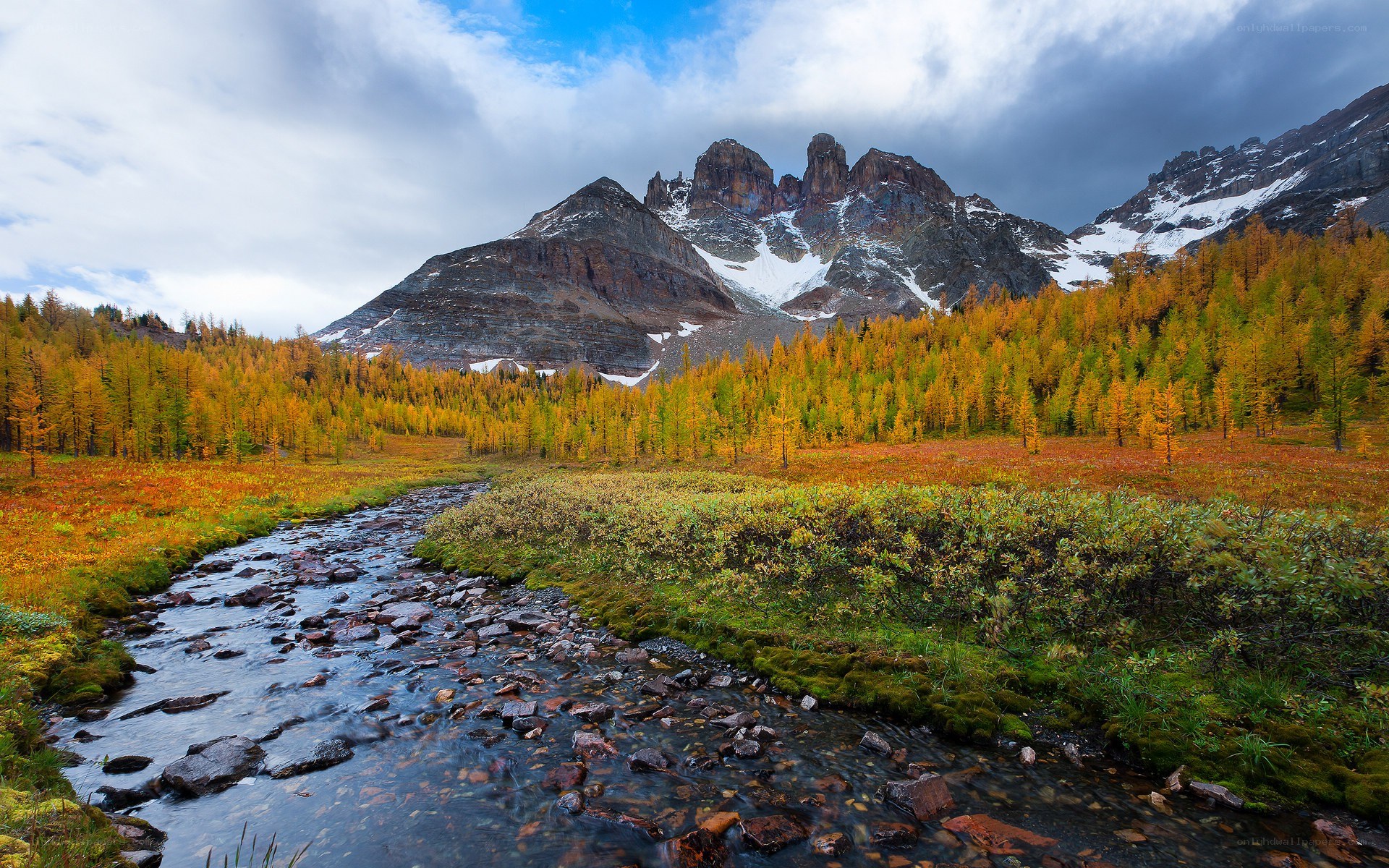 Autumn stream in mountain valley