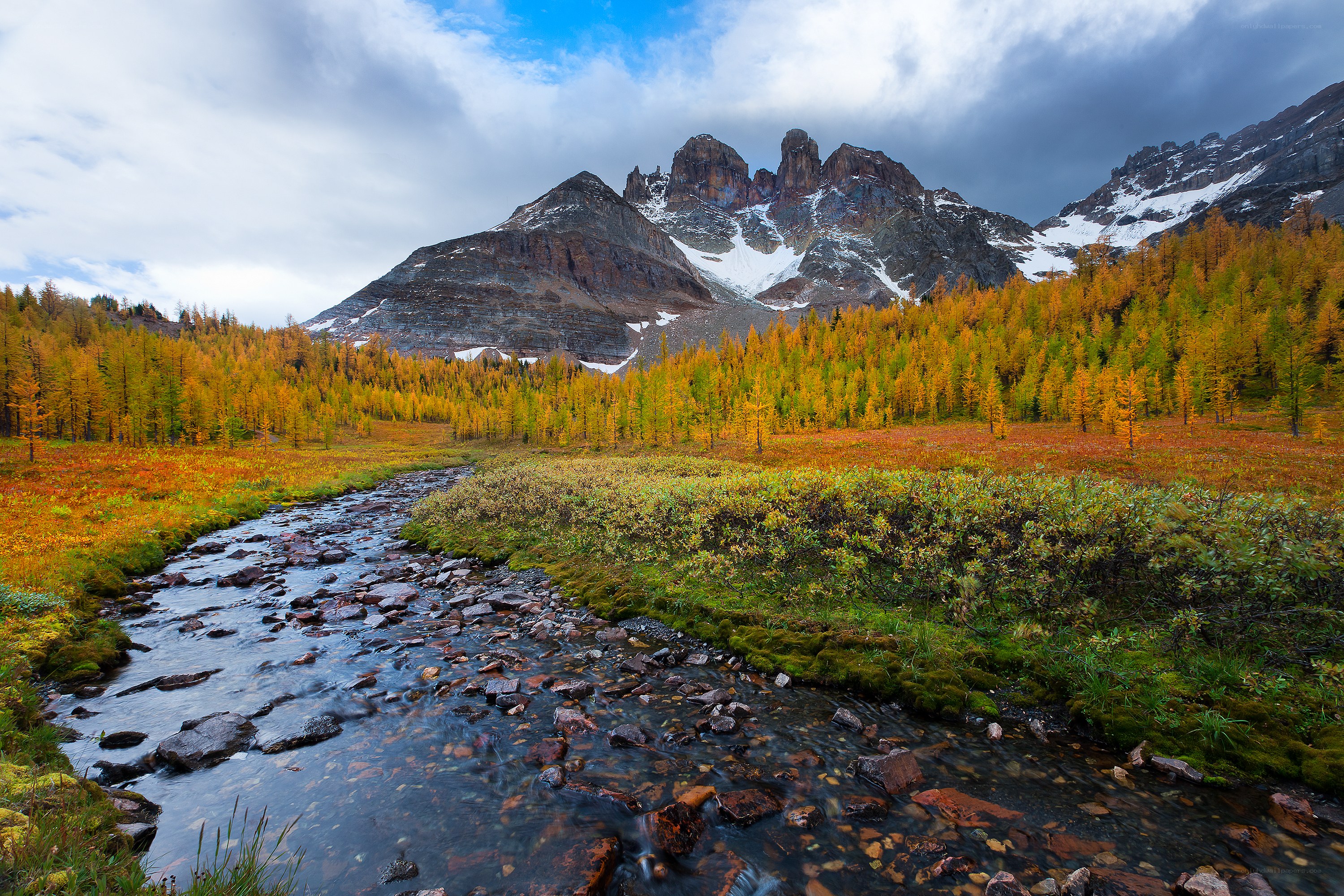 Autumn stream in mountain valley