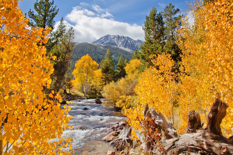 Autumn Stream in Mountains