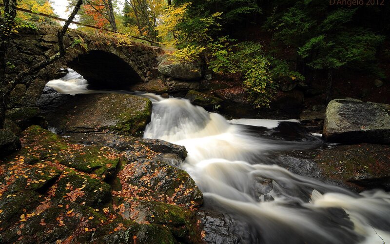 Autumn stream under stone bridge