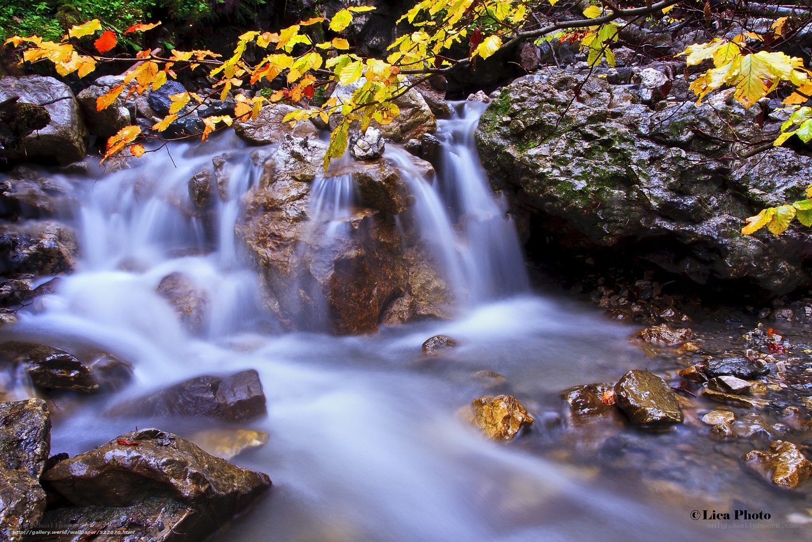 Autumn stream with flowing water