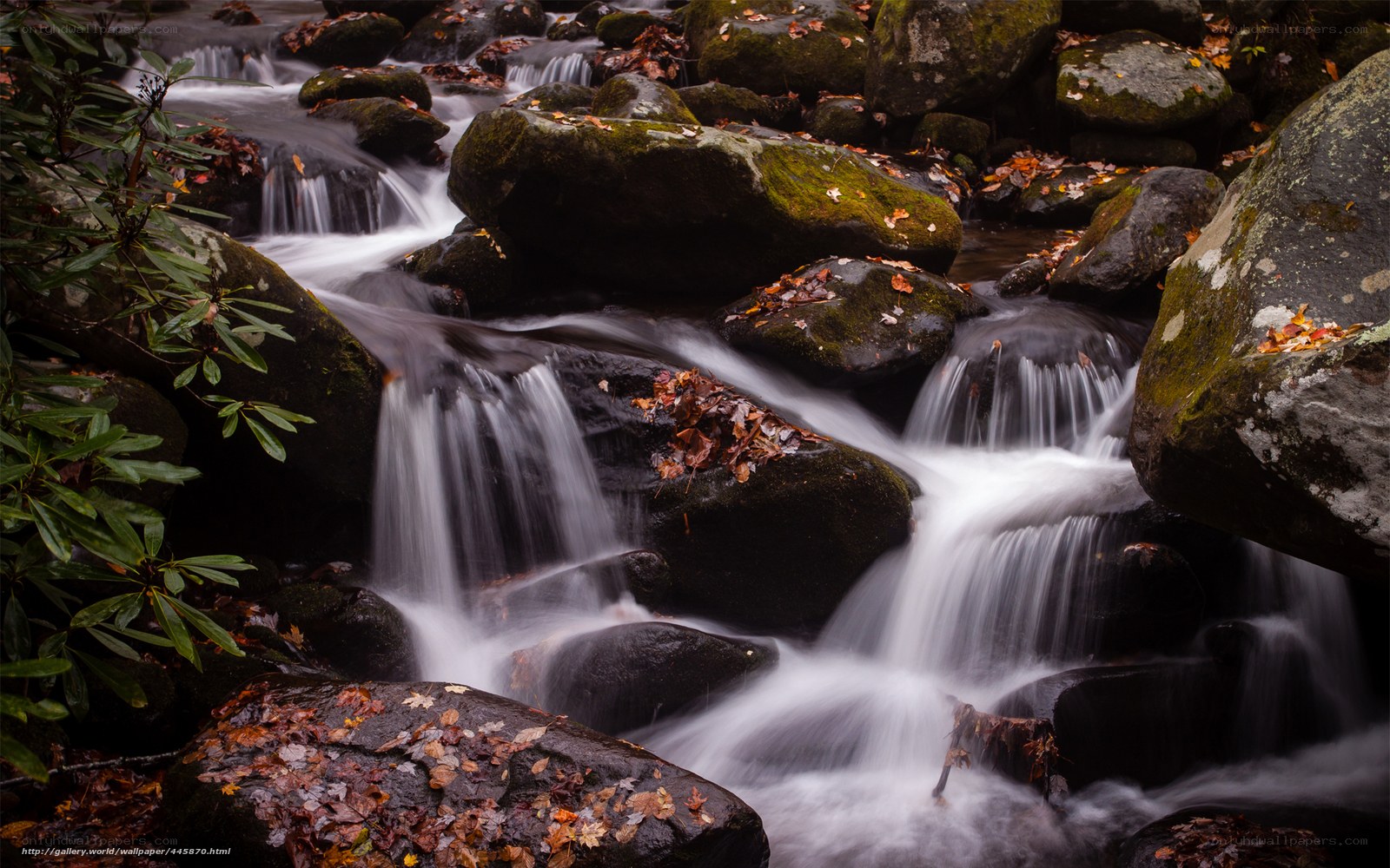 Autumn stream with mossy rocks