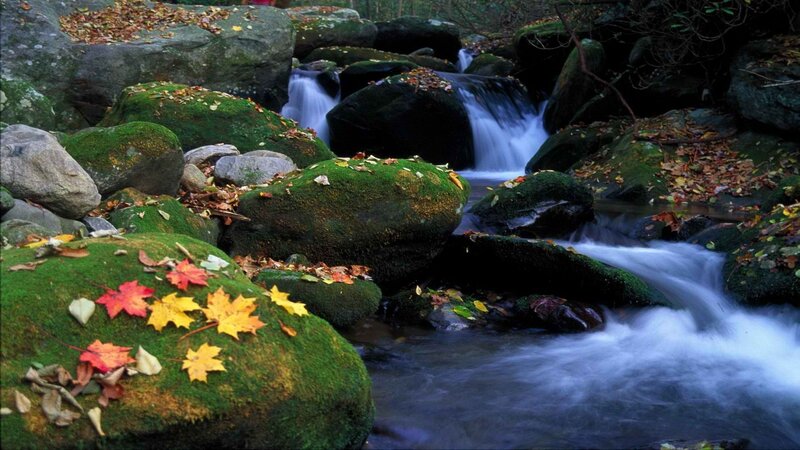 Autumn stream with mossy rocks