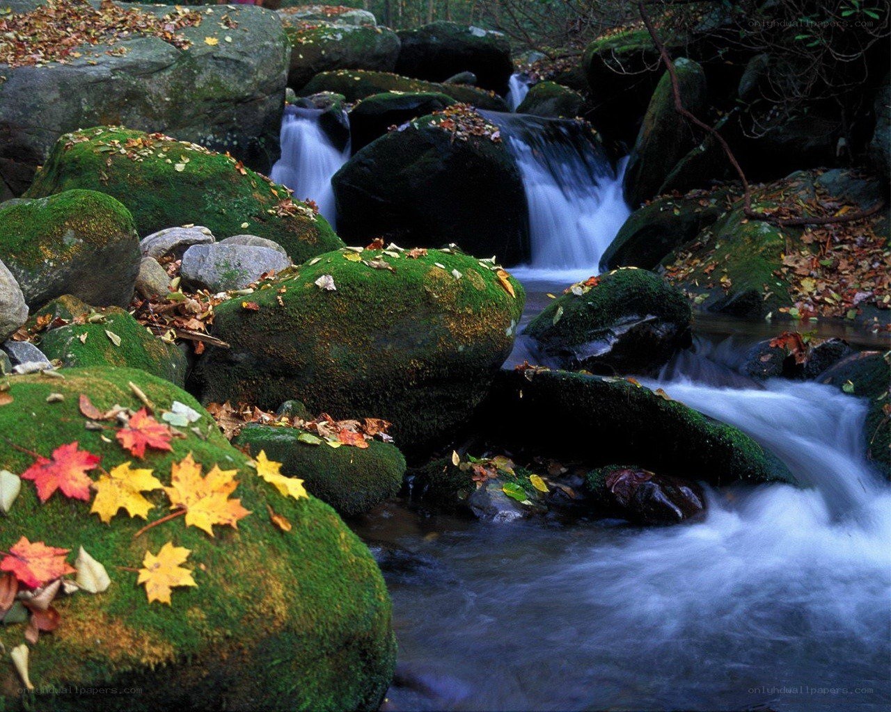 Autumn stream with mossy rocks