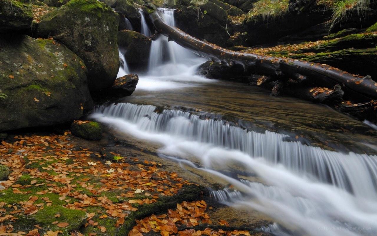 Autumn stream with mossy rocks