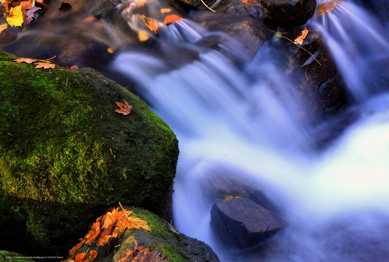 Autumn stream with mossy rocks