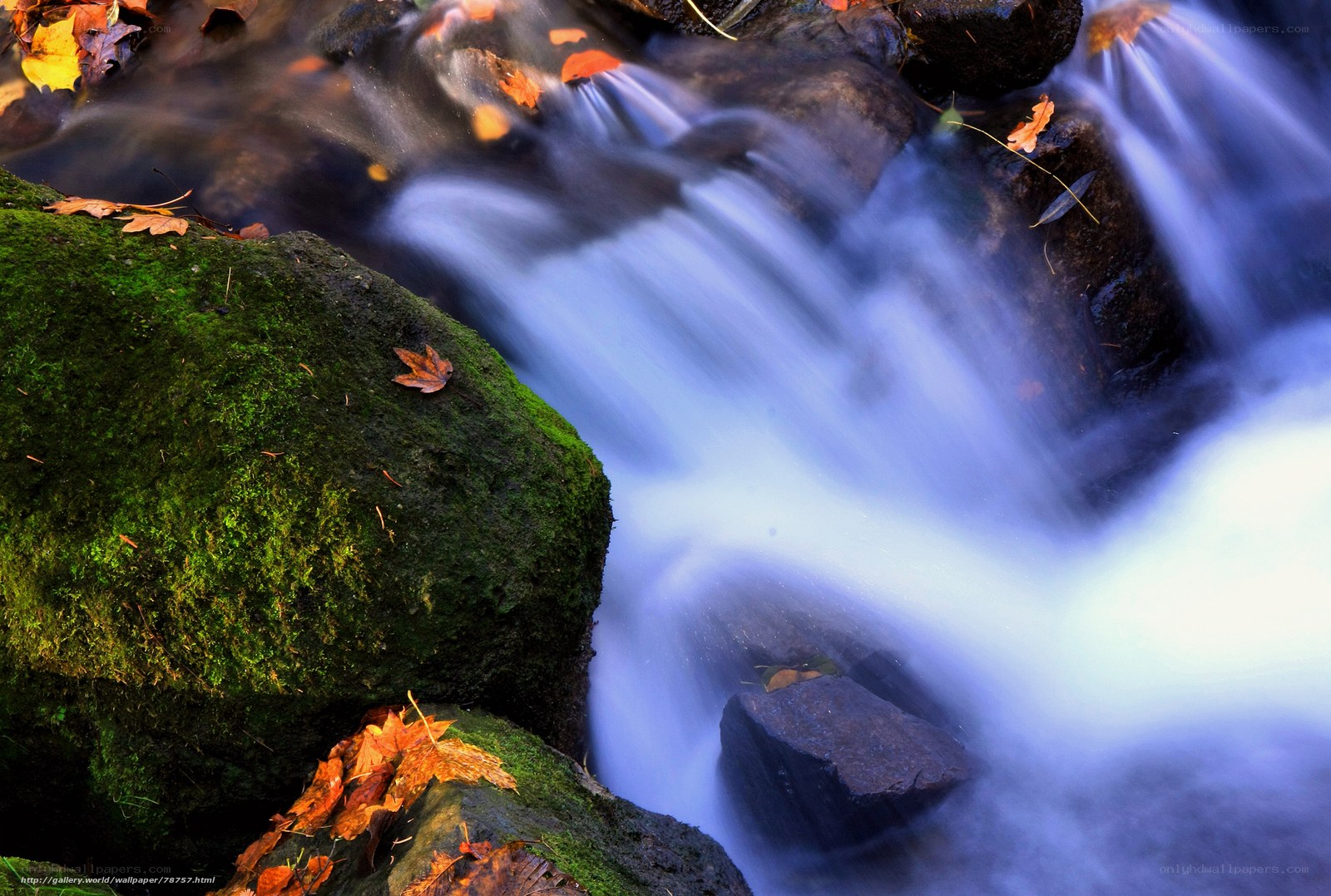 Autumn stream with mossy rocks