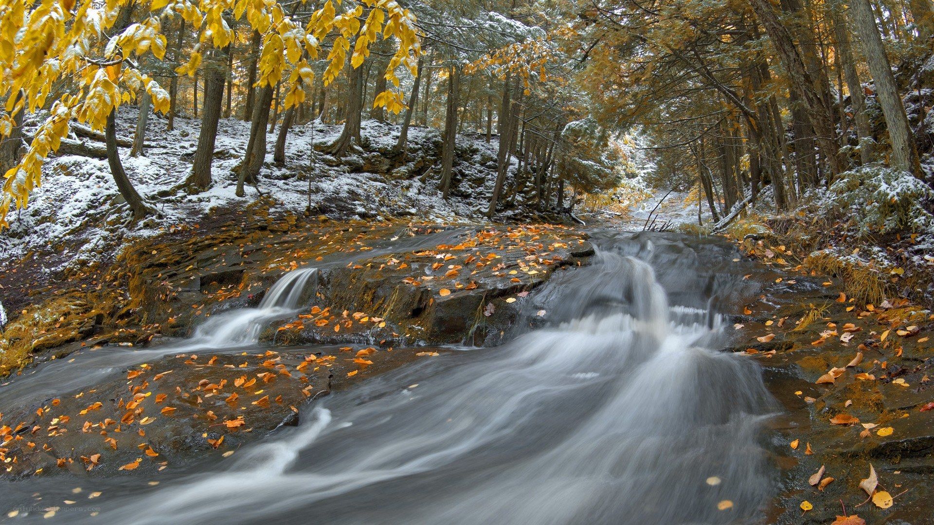Autumn stream with snow