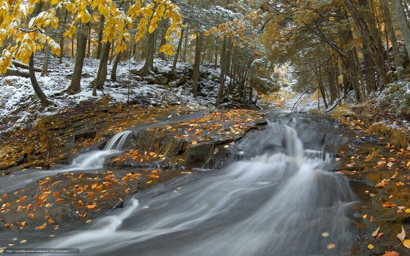 Autumn stream with snow