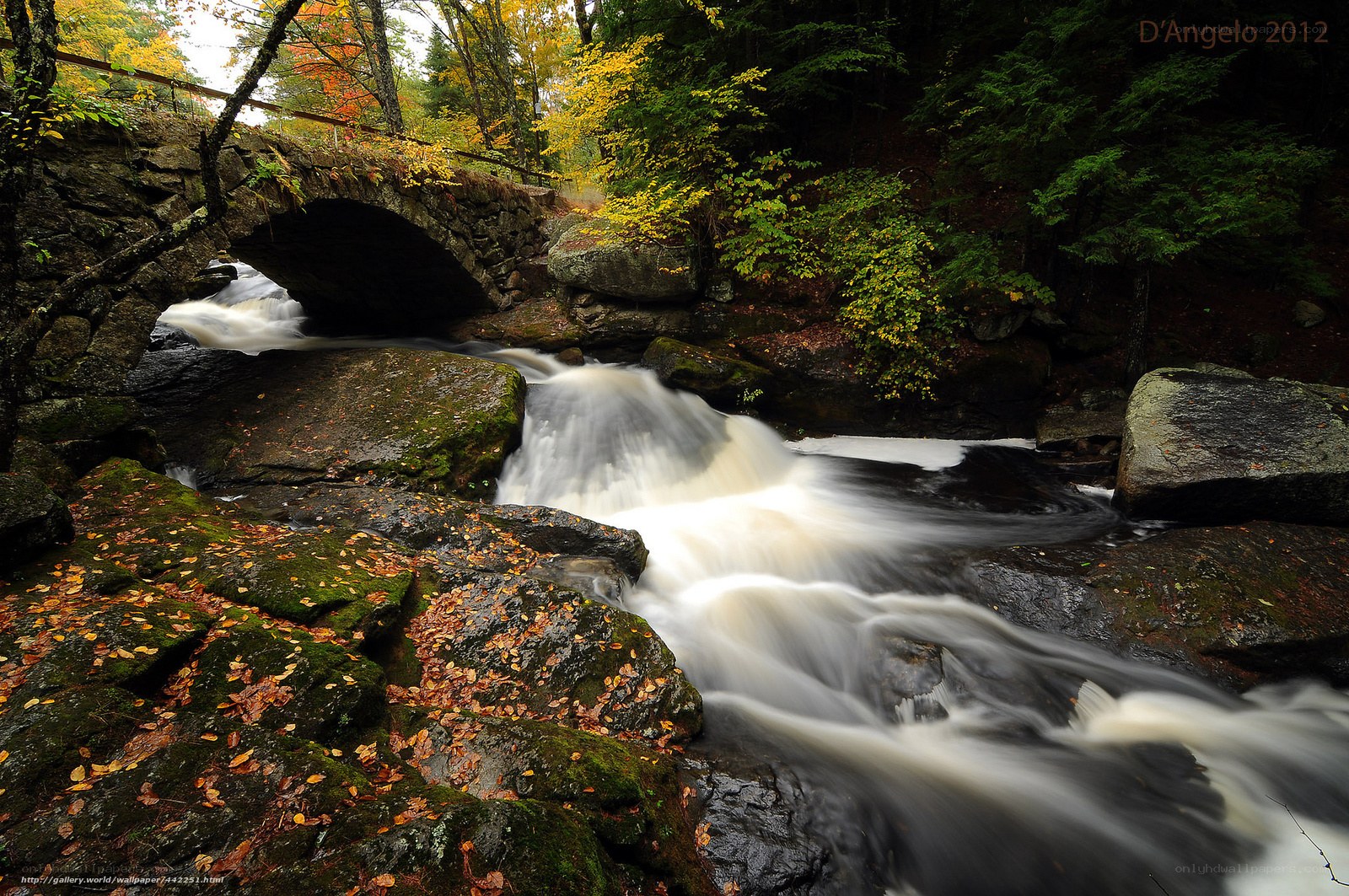 Autumn stream with stone bridge