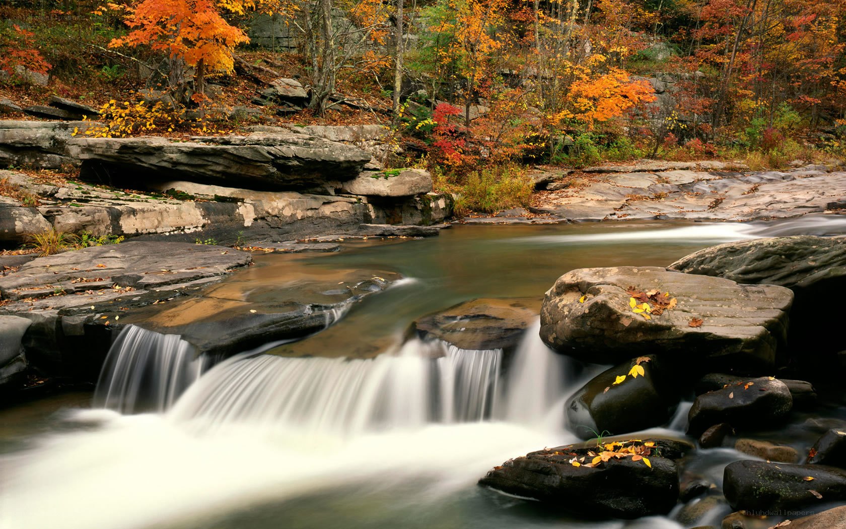 Autumn stream with waterfall
