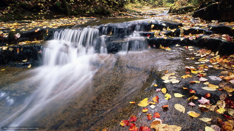 Autumn Stream with Waterfall — Brown, Serene