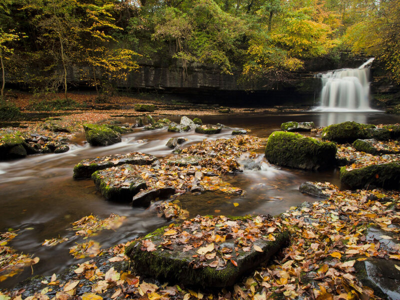 Autumn Stream with Waterfall — Green, Serene, Photograph