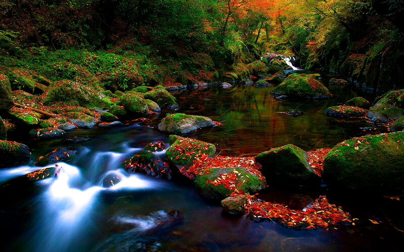 Autumn Stream with Waterfall — Green, Serene