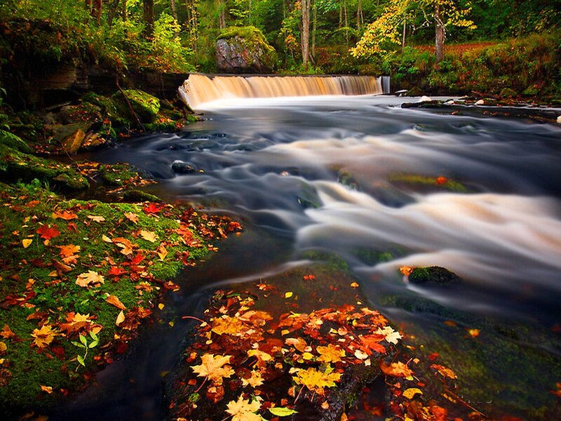 Autumn Stream with Waterfall — Green