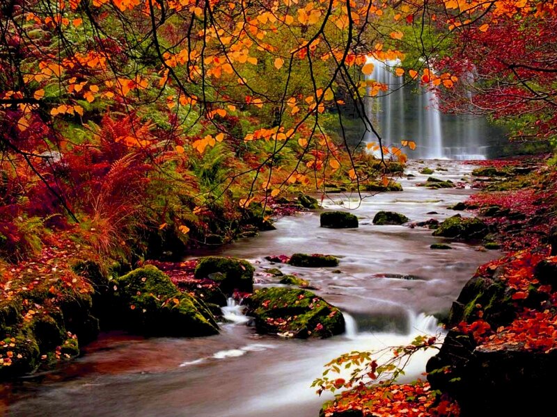 Autumn Stream with Waterfall — Orange, Serene, Photograph