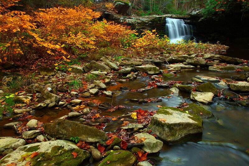 Autumn Stream with Waterfall — Orange