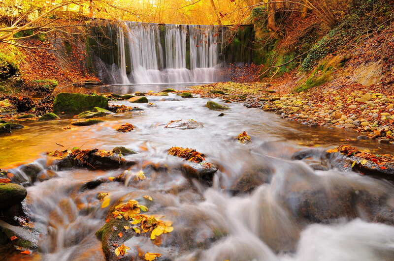 Autumn Stream with Waterfall — Yellow
