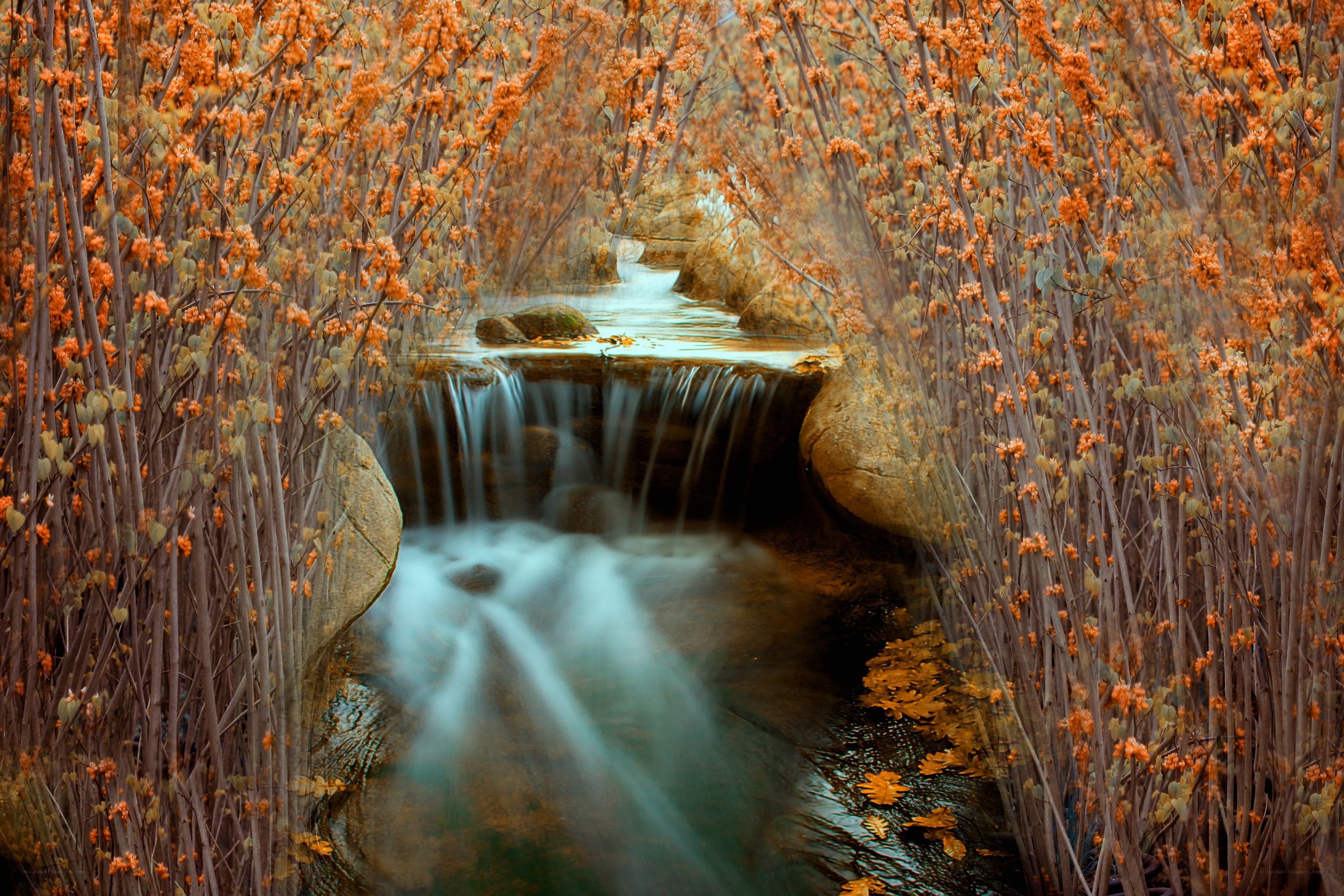 Autumn stream with waterfall