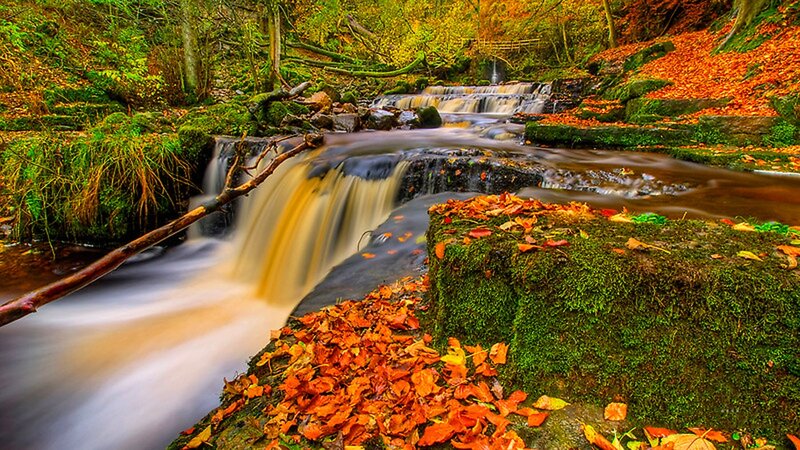 Autumn Stream with Waterfalls — Green