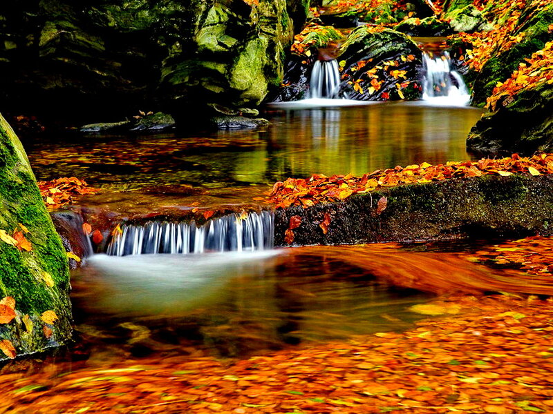 Autumn Stream with Waterfalls