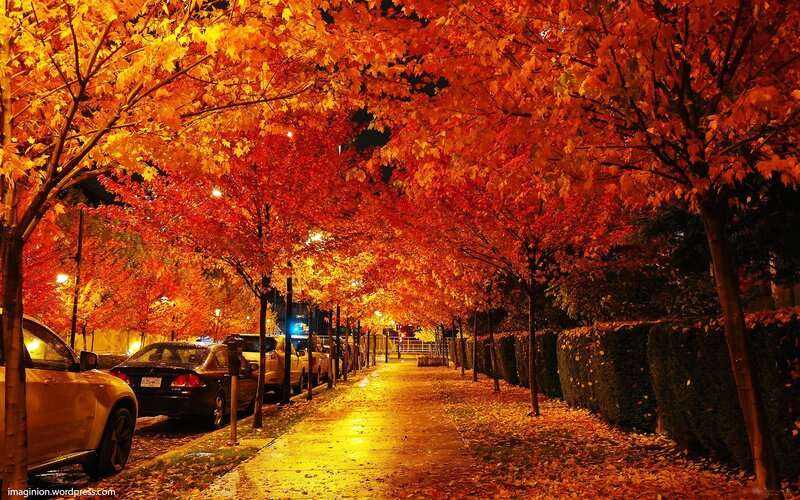 Autumn Street at Night — Orange, Serene, Photograph
