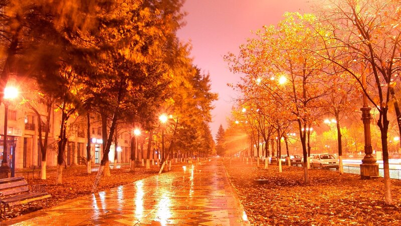 Autumn Street at Night — Orange, Serene