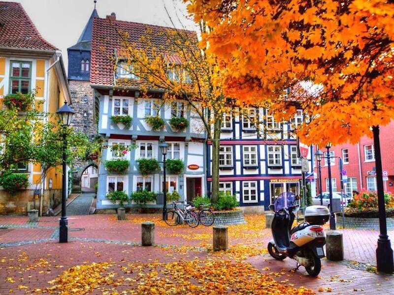 Autumn Street Scene — Orange