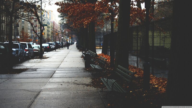 Autumn Street with Benches