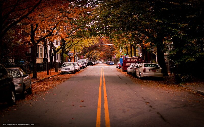 Autumn Street with Cars