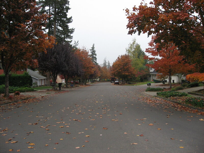 Autumn street with fallen leaves