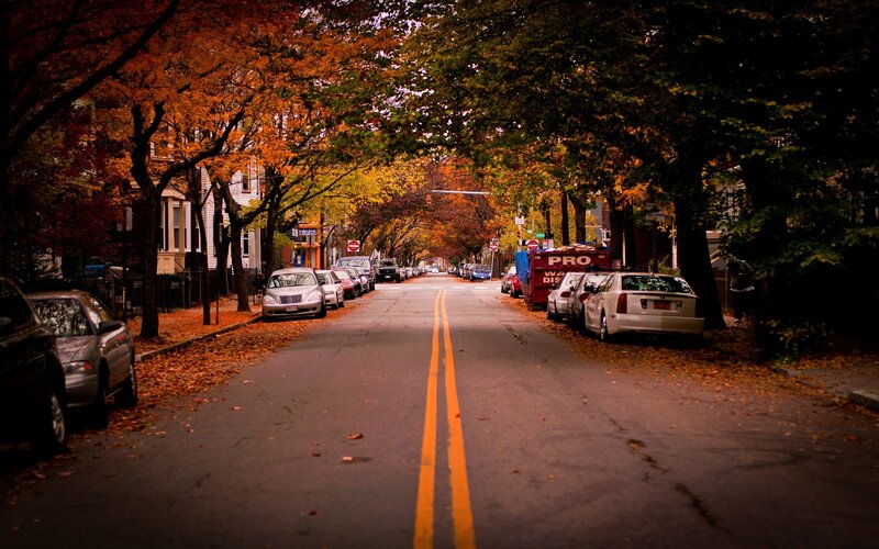 Autumn street with fallen leaves