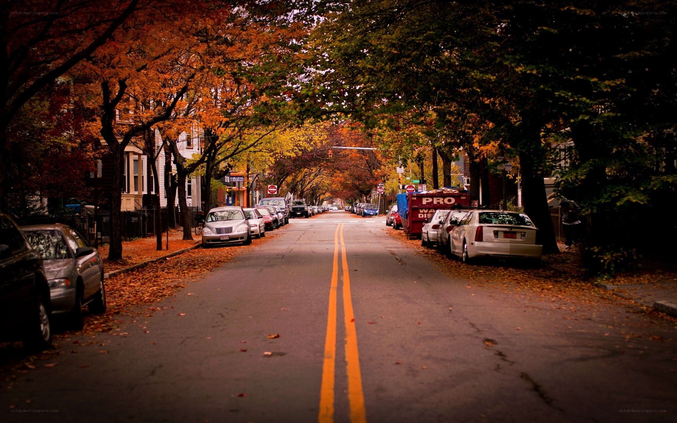 Autumn street with fallen leaves
