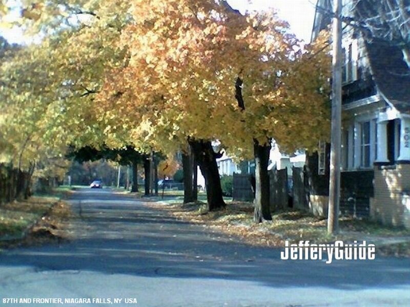 Autumn Street with Trees — Yellow, Calm