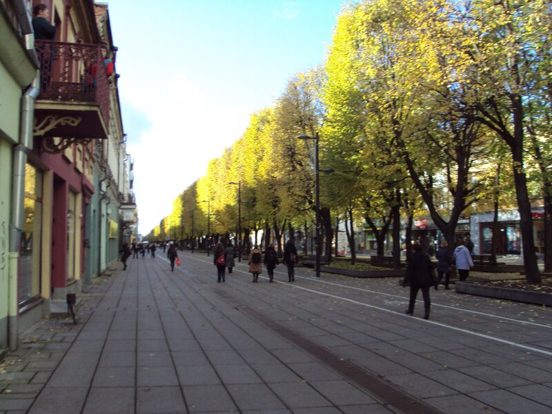 Autumn street with yellow trees