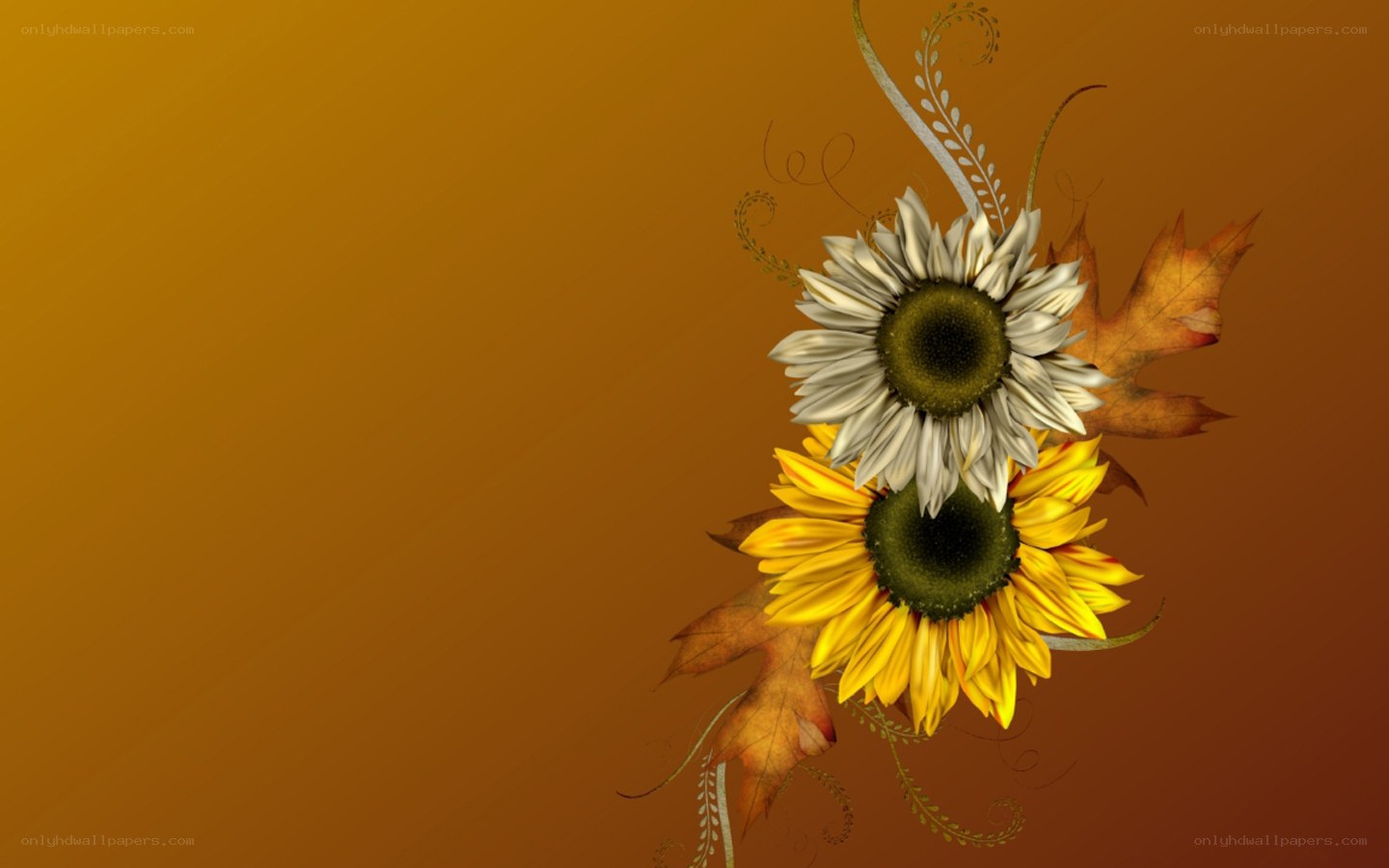 autumn sunflowers and leaves
