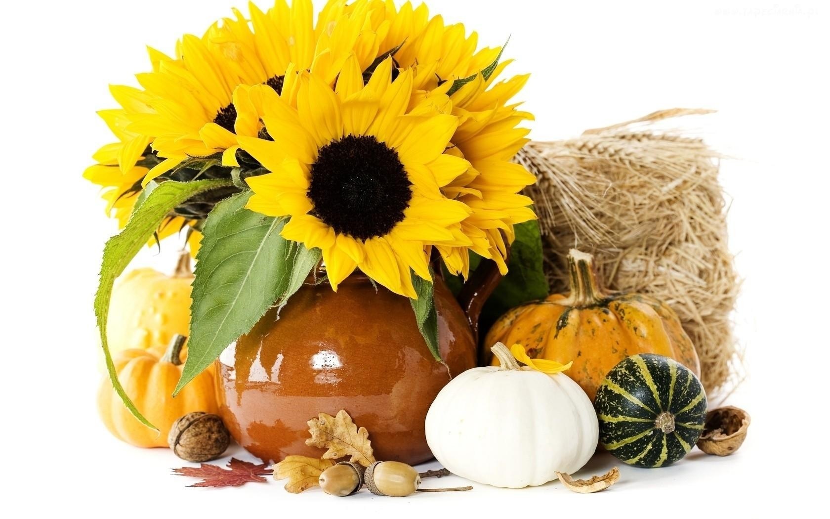 Autumn sunflowers and pumpkins