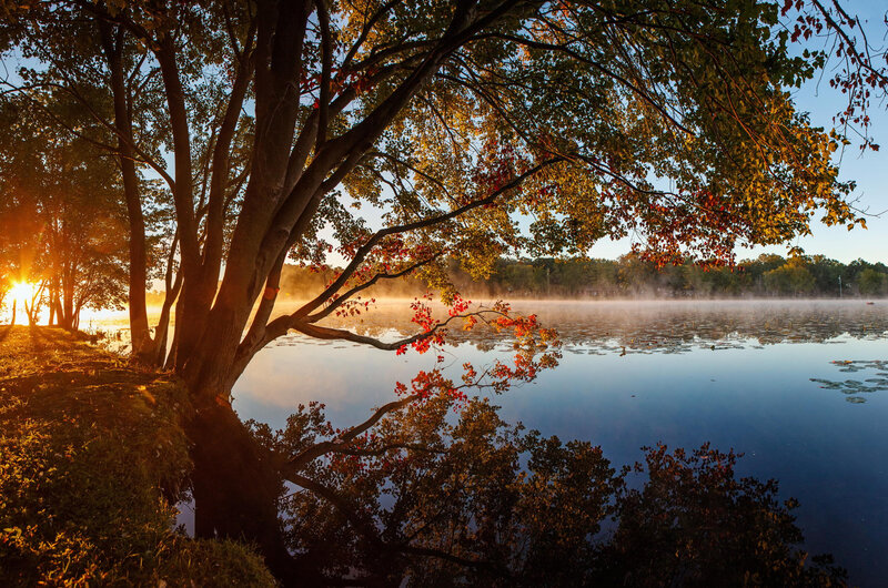 Autumn sunrise over a misty lake