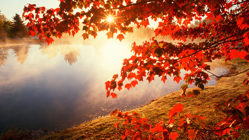 Autumn sunrise over misty lake