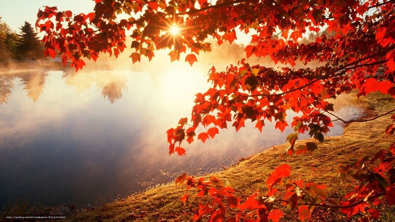 Autumn sunrise over misty lake