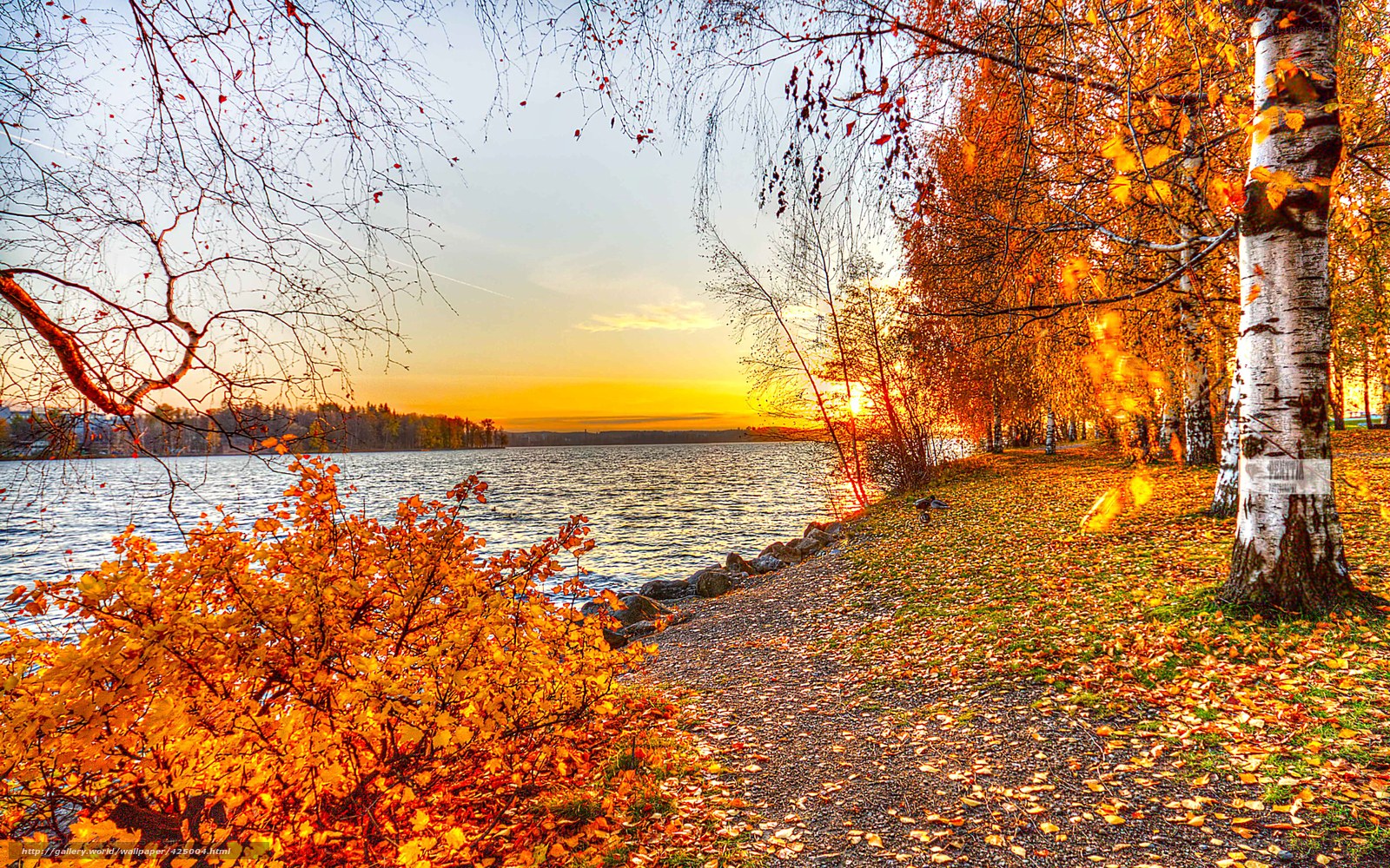 Autumn sunset by the lake