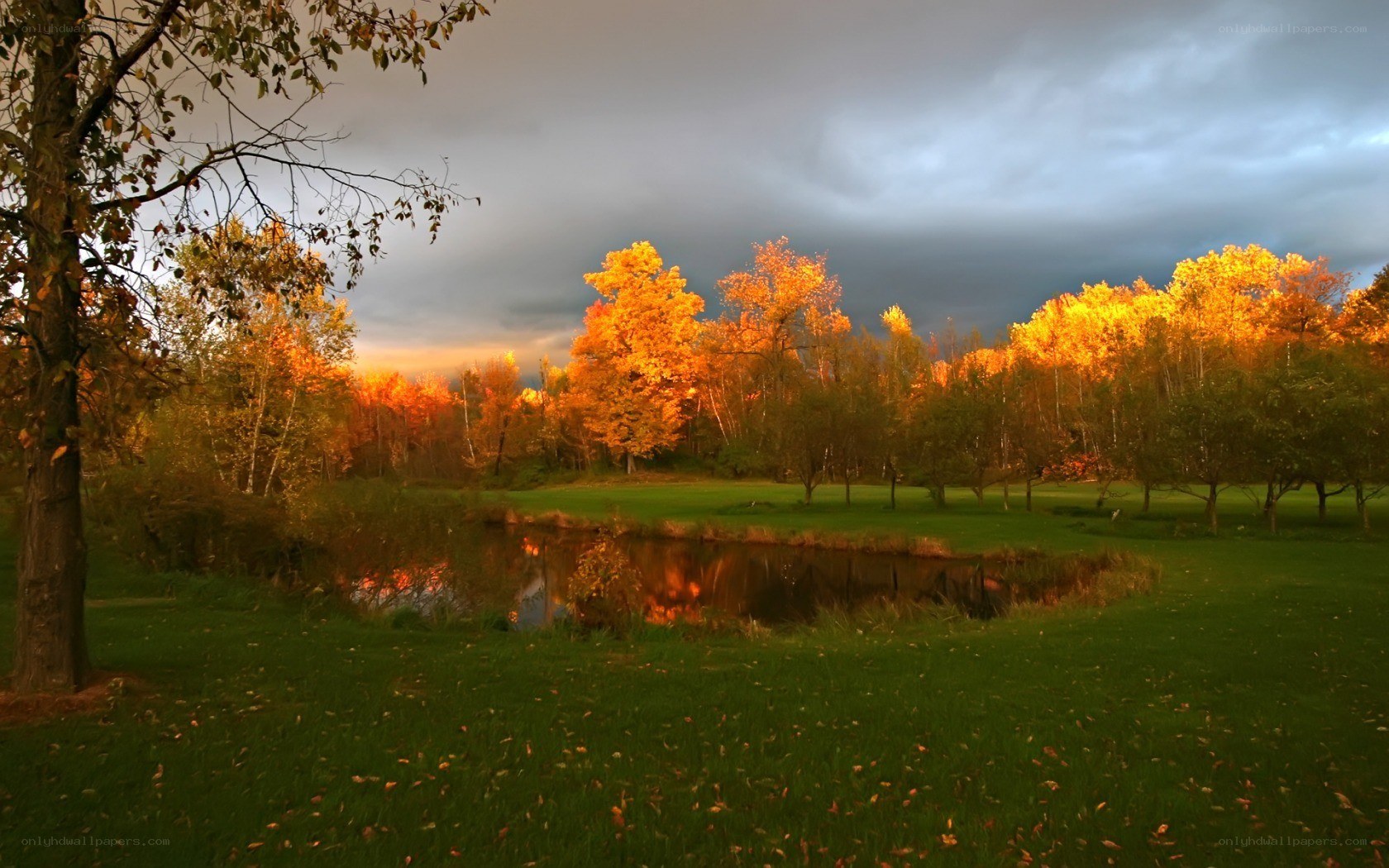 Autumn sunset by the pond