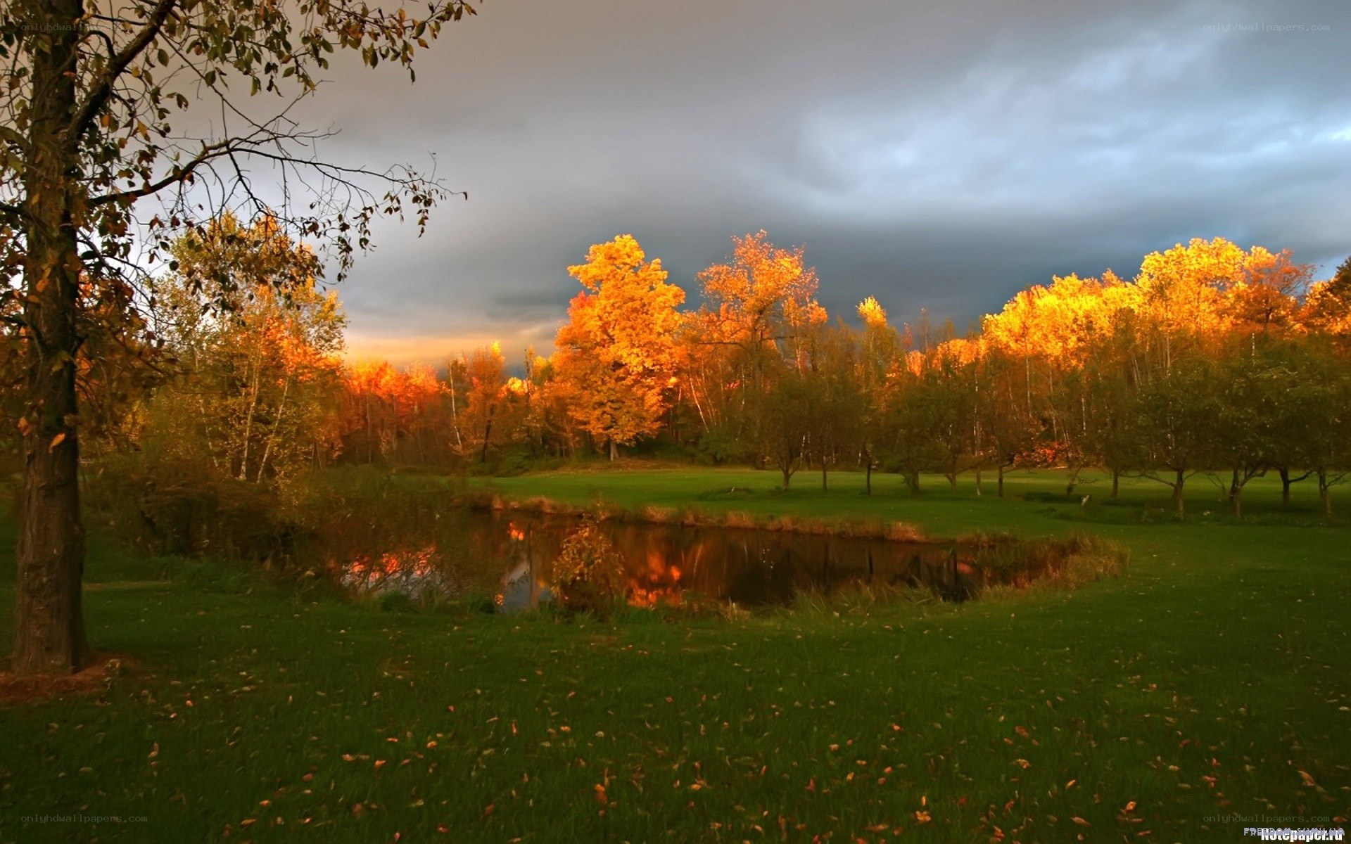 Autumn sunset by the pond