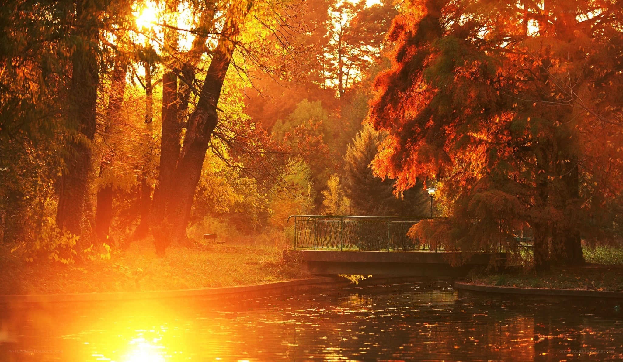 Autumn sunset by the pond
