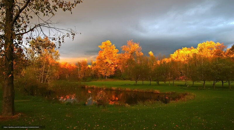 Autumn sunset by the pond