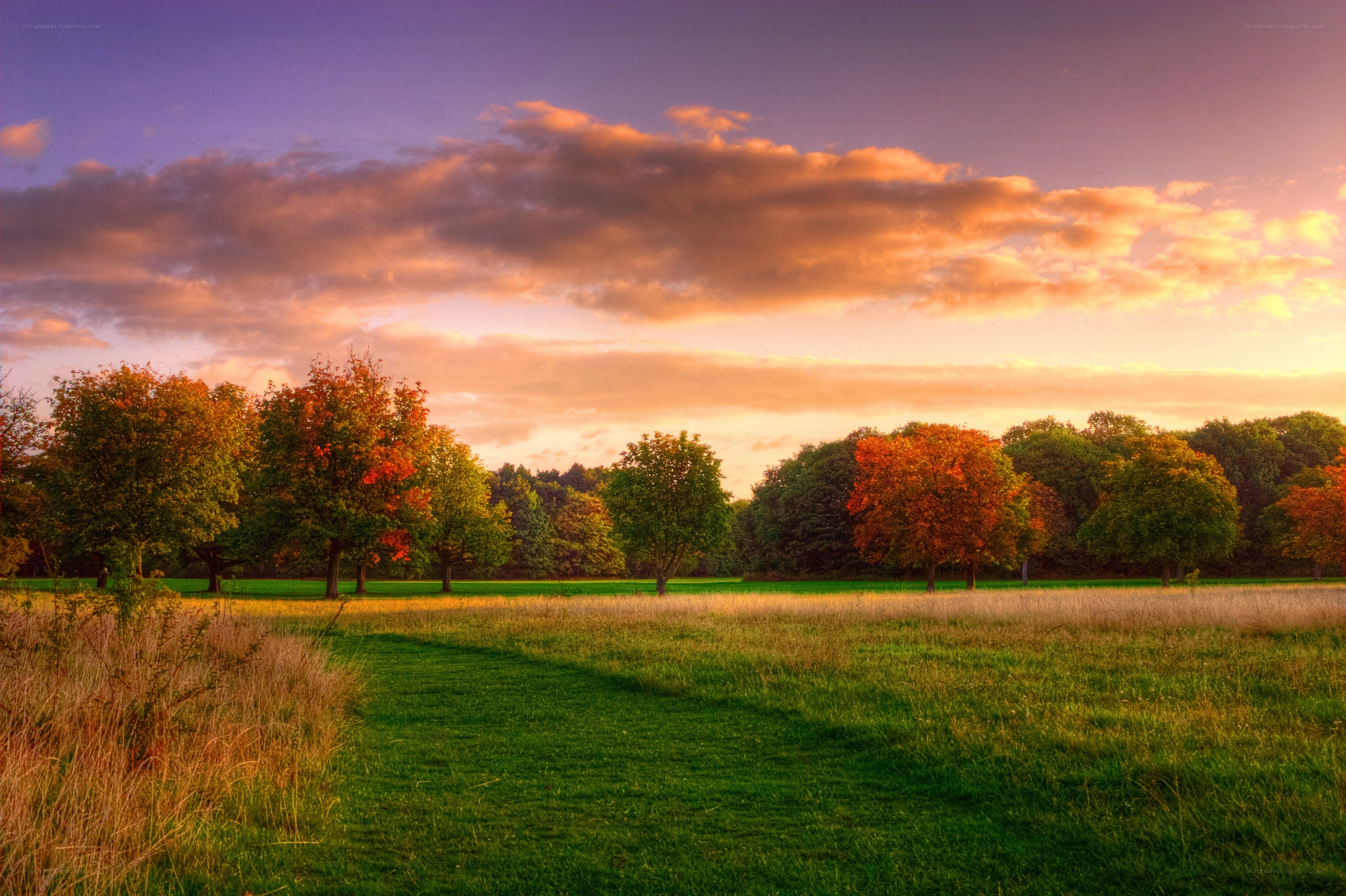 Autumn sunset in a park