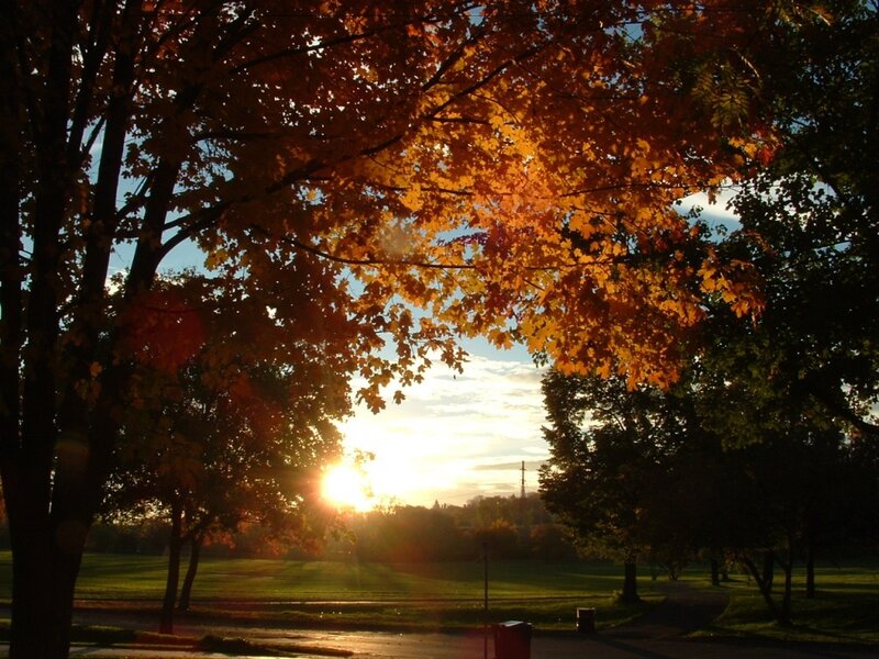 Autumn sunset in the park