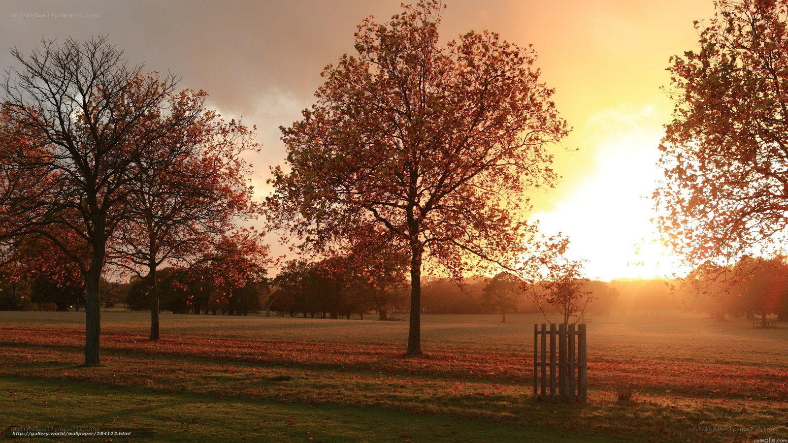 Autumn sunset in the park