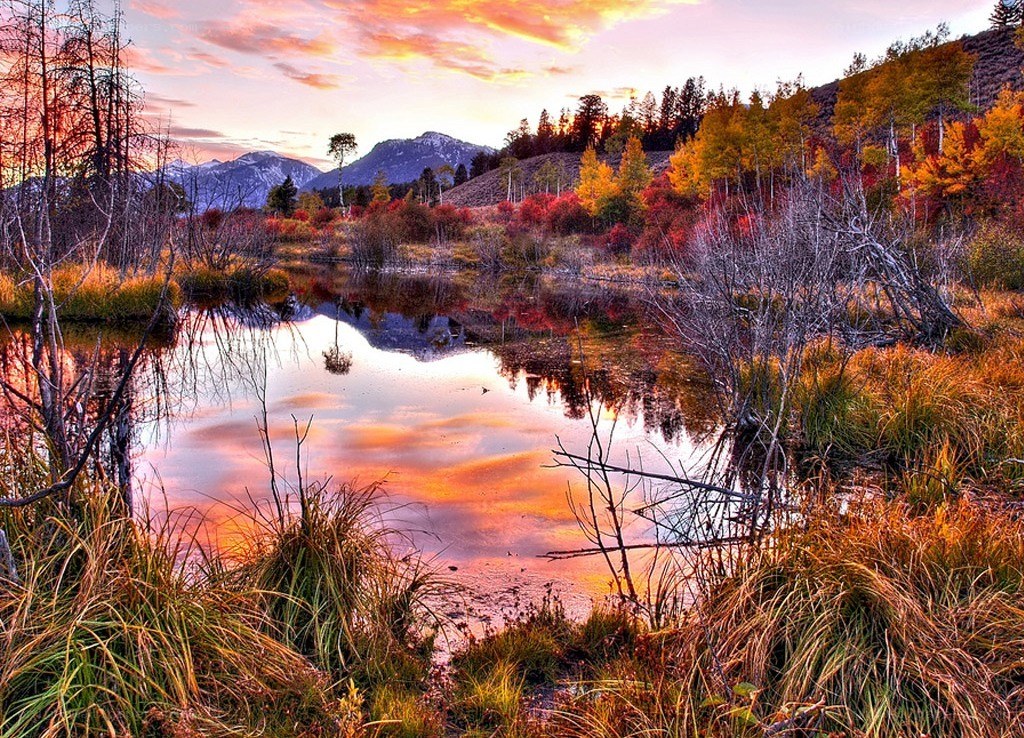 Autumn sunset over a calm pond